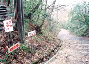 萩往還　道中の景色