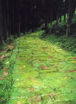 人吉街道　龍門司坂