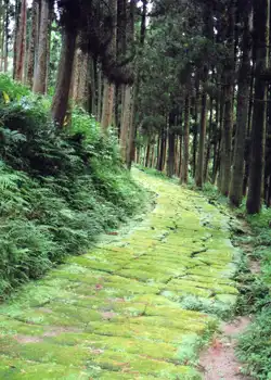 人吉街道　苔の石畳