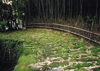 人吉街道　龍門司坂と大門坂