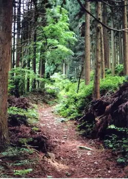 中部北陸自然歩道