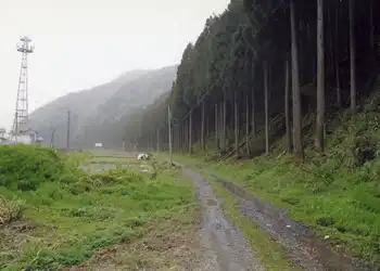 山沿いの道