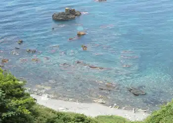 海岸