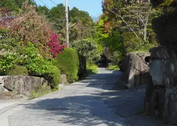 ザビエルが歩いた道