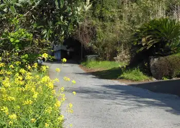 ザビエルが歩いた道