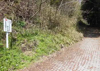 ザビエルが歩いた道