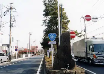 藤久保の松並木