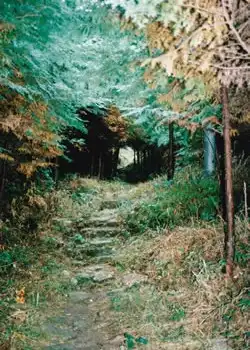 トンネル状の古道