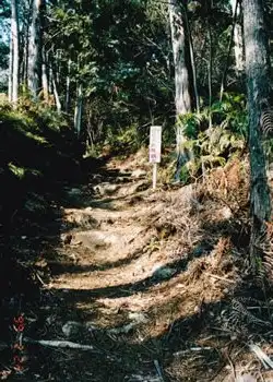 曽根次郎・太郎坂へ 
