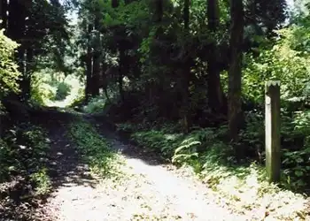 中部北陸自然歩道の木柱