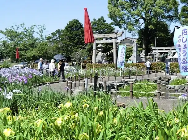 花しょうぶ祭り