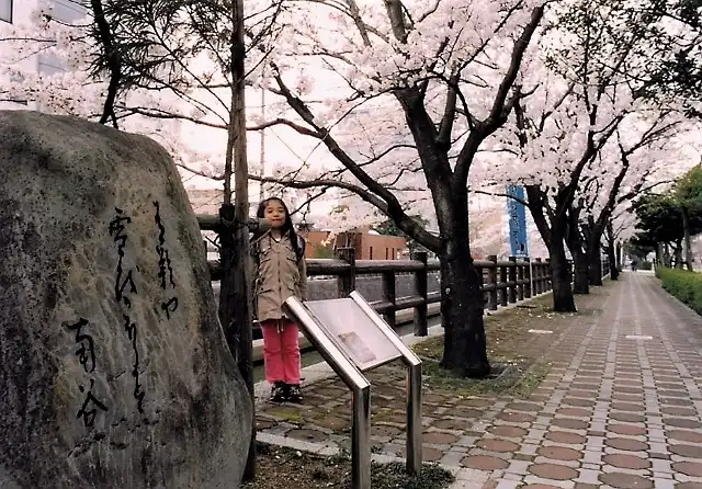 出羽三山で詠んだ句