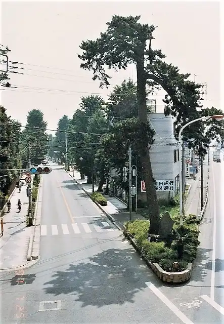 熊谷宿の見返り松