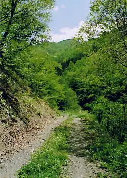 野麦峠に向かう道