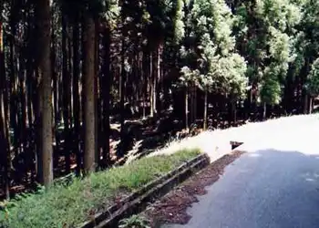 細川への旧道