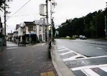 重要伝統的建造物群保存地区・社家町西村家別荘