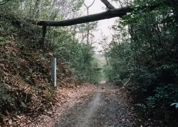 松子山峠