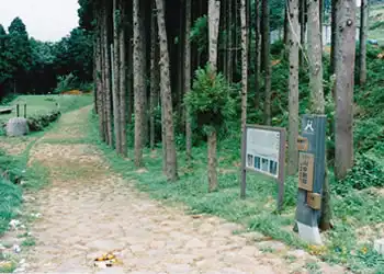 山中新田の景観