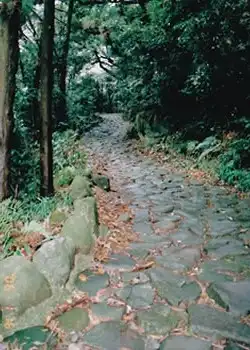 湯本茶屋の石畳
