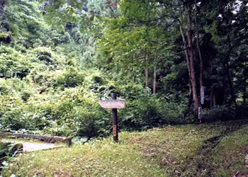 明治新道との分岐