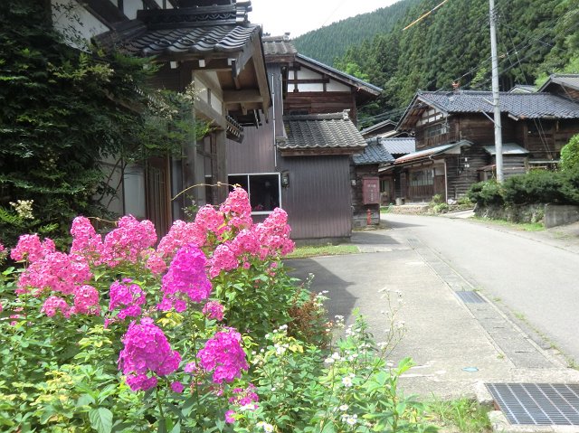 花に迎えられて