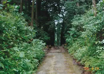 珍布峠をふり返る