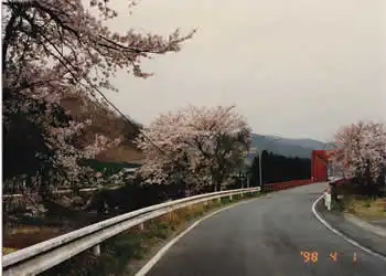 勢和大橋付近の景観