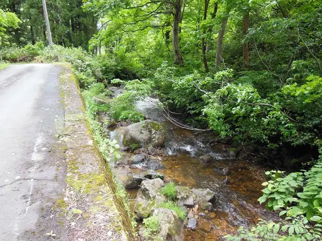 渓流沿い